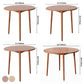 Solid Wood Double Pedestal Dining Table Simplicity Style Round Dinette Table Clearhalo ' dining_table' 'Dining Tables & Seating' 'Dining Tables' 'furn' 'furn_dining_table' 'Furniture' 'furniture_dining_table' 'Kitchen & Dining Furniture' 'kitchen&dining_furn' 'kitchen' 'kitchen_dining_table' 3600114