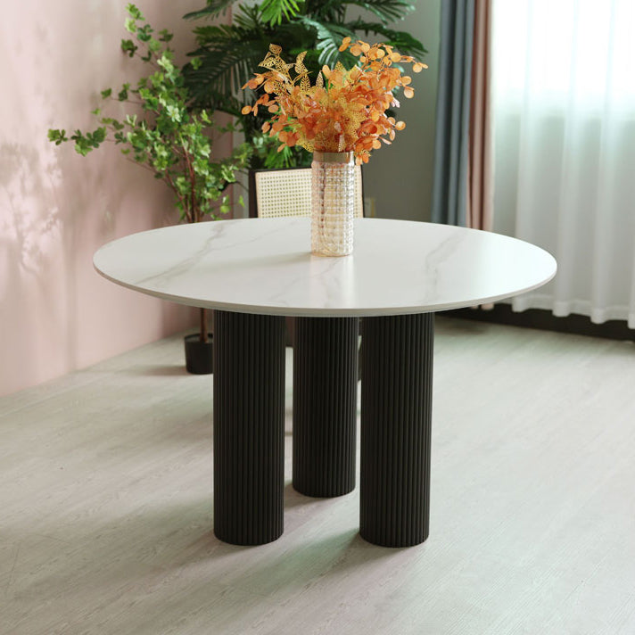 Round Contemporary Style Dining Table White Fixed Table with Sintered Stone Clearhalo ' dining_table' 'Dining Tables & Seating' 'Dining Tables' 'furn' 'furn_dining_table' 'Furniture' 'furniture_dining_table' 'Kitchen & Dining Furniture' 'kitchen&dining_furn' 'kitchen' 'kitchen_dining_table' 3600563