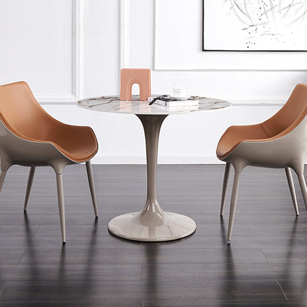 Modern Style Sintered Stone Dining Table White Round Tulip Base Dining Table Clearhalo ' dining_table' 'Dining Tables & Seating' 'Dining Tables' 'furn' 'furn_dining_table' 'Furniture' 'furniture_dining_table' 'Kitchen & Dining Furniture' 'kitchen&dining_furn' 'kitchen' 'kitchen_dining_table' 3600610