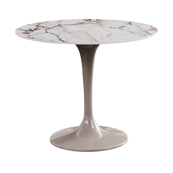 Modern Style Sintered Stone Dining Table White Round Tulip Base Dining Table Without Chairs Clearhalo ' dining_table' 'Dining Tables & Seating' 'Dining Tables' 'furn' 'furn_dining_table' 'Furniture' 'furniture_dining_table' 'Kitchen & Dining Furniture' 'kitchen&dining_furn' 'kitchen' 'kitchen_dining_table' 3600612