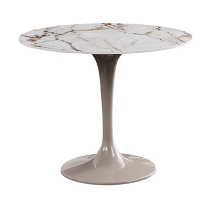 Modern Style Sintered Stone Dining Table White Round Tulip Base Dining Table Without Chairs Clearhalo ' dining_table' 'Dining Tables & Seating' 'Dining Tables' 'furn' 'furn_dining_table' 'Furniture' 'furniture_dining_table' 'Kitchen & Dining Furniture' 'kitchen&dining_furn' 'kitchen' 'kitchen_dining_table' 3600612