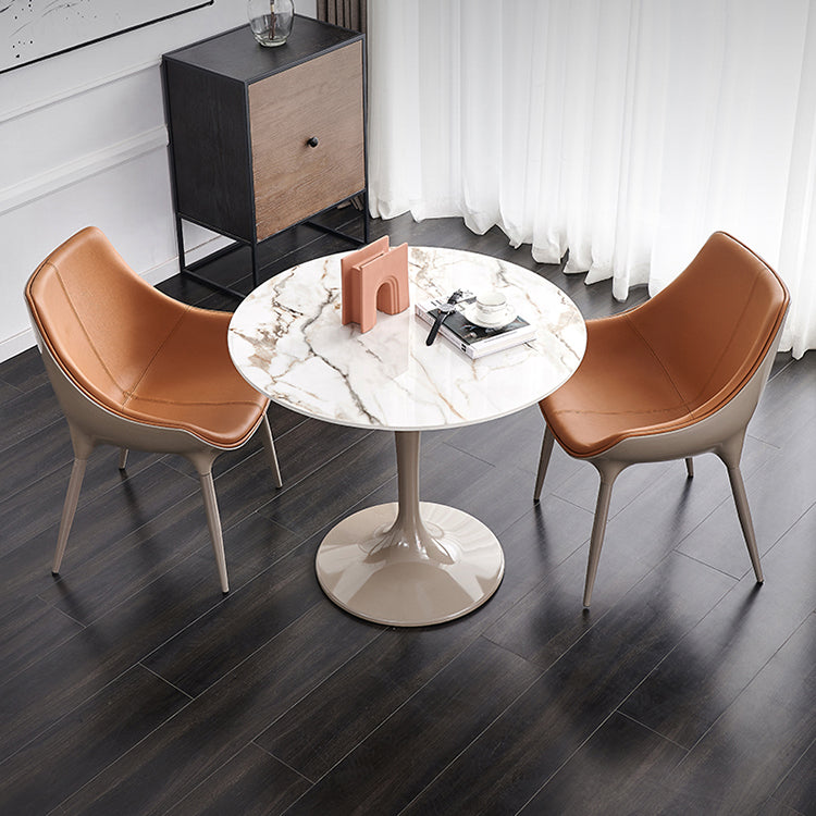 Modern Style Sintered Stone Dining Table White Round Tulip Base Dining Table Clearhalo ' dining_table' 'Dining Tables & Seating' 'Dining Tables' 'furn' 'furn_dining_table' 'Furniture' 'furniture_dining_table' 'Kitchen & Dining Furniture' 'kitchen&dining_furn' 'kitchen' 'kitchen_dining_table' 3600618