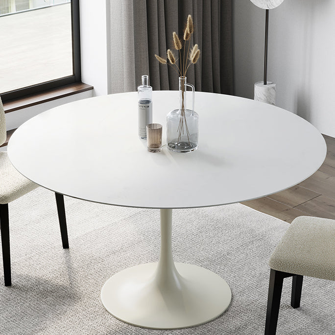 Round Tulip Modern Dining Table White Tone Fixed Table of Sintered Stone Clearhalo ' dining_table' 'Dining Tables & Seating' 'Dining Tables' 'furn' 'furn_dining_table' 'Furniture' 'furniture_dining_table' 'Kitchen & Dining Furniture' 'kitchen&dining_furn' 'kitchen' 'kitchen_dining_table' 3621897