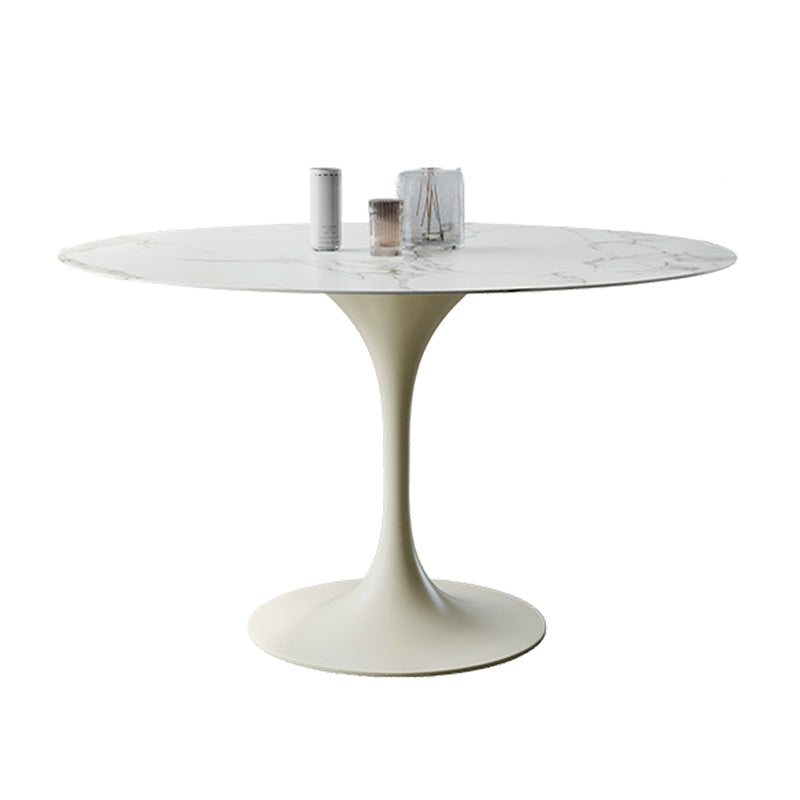 Round Tulip Modern Dining Table White Tone Fixed Table of Sintered Stone Without Chairs Clearhalo ' dining_table' 'Dining Tables & Seating' 'Dining Tables' 'furn' 'furn_dining_table' 'Furniture' 'furniture_dining_table' 'Kitchen & Dining Furniture' 'kitchen&dining_furn' 'kitchen' 'kitchen_dining_table' 3621901