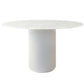 Contemporary Round Dining Table Ash Solid Wood Table with Pedestal Base White Without Chairs Clearhalo ' dining_table' 'Dining Tables & Seating' 'Dining Tables' 'furn' 'furn_dining_table' 'Furniture' 'furniture_dining_table' 'Kitchen & Dining Furniture' 'kitchen&dining_furn' 'kitchen' 'kitchen_dining_table' 3642477