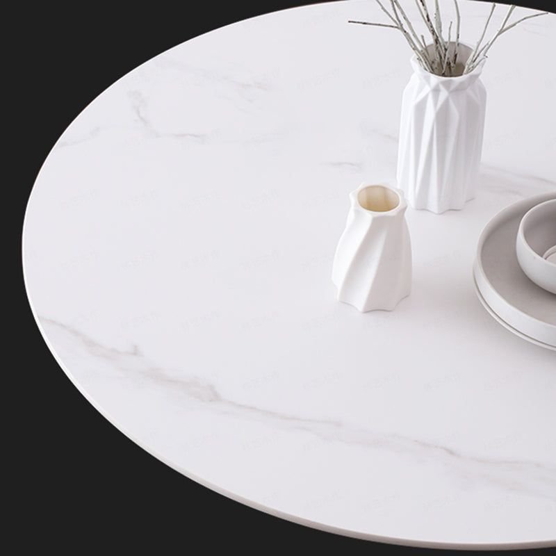 Modern Style Solid Wood Dining Table Brown Round Table with Pedestal Base Clearhalo ' dining_table' 'Dining Tables & Seating' 'Dining Tables' 'furn' 'furn_dining_table' 'Furniture' 'furniture_dining_table' 'Kitchen & Dining Furniture' 'kitchen&dining_furn' 'kitchen' 'kitchen_dining_table' 3642672