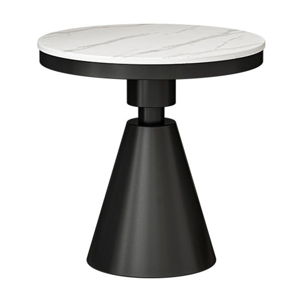 Modern Style Sintered Stone Dining Table Round Table with Pedestal Base White Black Clearhalo ' dining_table' 'Dining Tables & Seating' 'Dining Tables' 'furn' 'furn_dining_table' 'Furniture' 'furniture_dining_table' 'Kitchen & Dining Furniture' 'kitchen&dining_furn' 'kitchen' 'kitchen_dining_table' 3642780