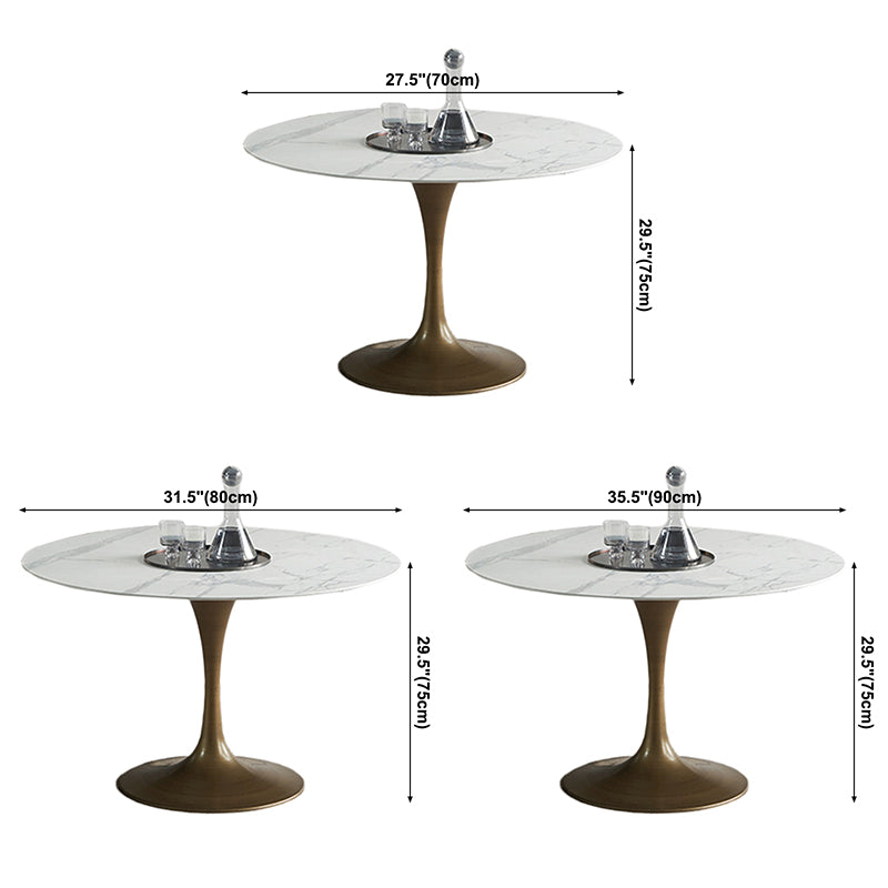Modern Style Stone Dining Table Tulip Base Dining Site Table, for Dining Room Clearhalo ' dining_table' 'Dining Tables & Seating' 'Dining Tables' 'furn' 'furn_dining_table' 'Furniture' 'furniture_dining_table' 'Kitchen & Dining Furniture' 'kitchen&dining_furn' 'kitchen' 'kitchen_dining_table' 3642997