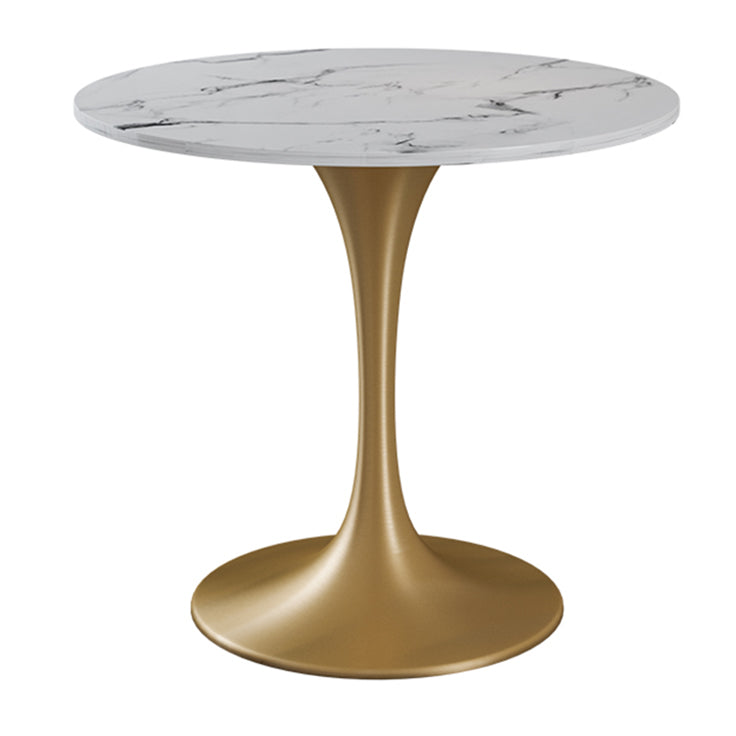 Sintered Stone Modern Style Dining Table White Round Table with Tulip Base Without Chairs Clearhalo ' dining_table' 'Dining Tables & Seating' 'Dining Tables' 'furn' 'furn_dining_table' 'Furniture' 'furniture_dining_table' 'Kitchen & Dining Furniture' 'kitchen&dining_furn' 'kitchen' 'kitchen_dining_table' 3643082