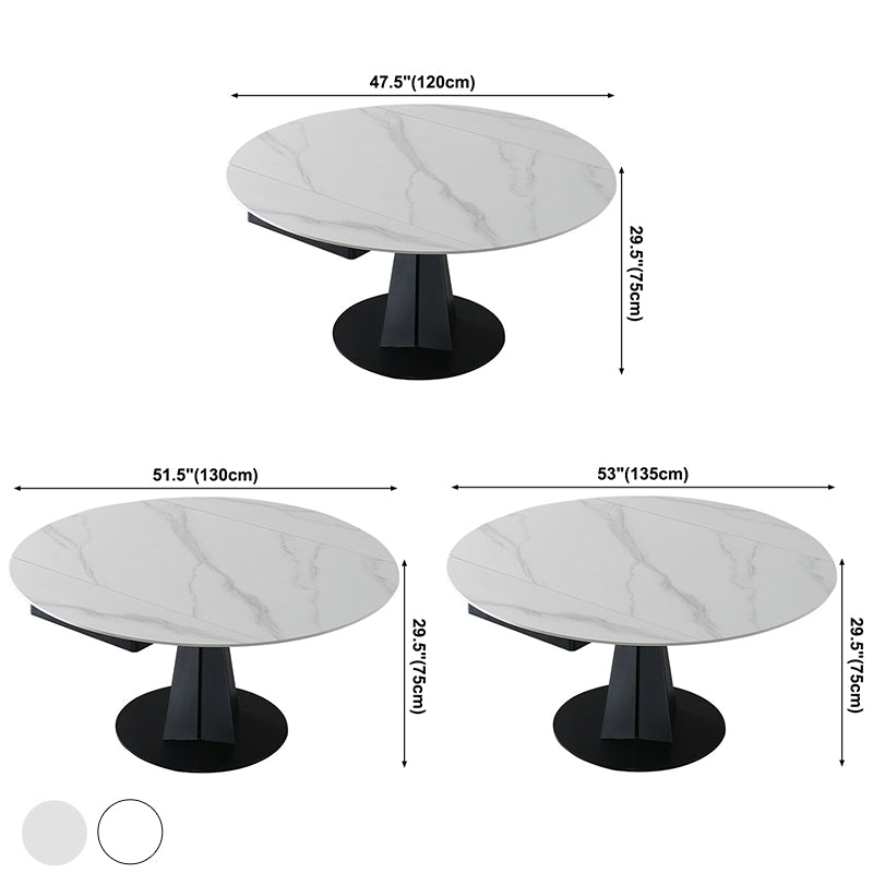 Contemporary Round Dining Table Sintered Stone Dining Table with Pedestal Base Clearhalo ' dining_table' 'Dining Tables & Seating' 'Dining Tables' 'furn' 'furn_dining_table' 'Furniture' 'furniture_dining_table' 'Kitchen & Dining Furniture' 'kitchen&dining_furn' 'kitchen' 'kitchen_dining_table' 3643135