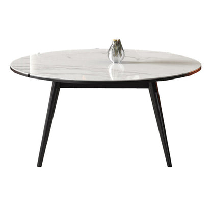 Modern Style Sintered Stone Dining Table White Round Table with Metal Base Without Chairs Clearhalo ' dining_table' 'Dining Tables & Seating' 'Dining Tables' 'furn' 'furn_dining_table' 'Furniture' 'furniture_dining_table' 'Kitchen & Dining Furniture' 'kitchen&dining_furn' 'kitchen' 'kitchen_dining_table' 3649155