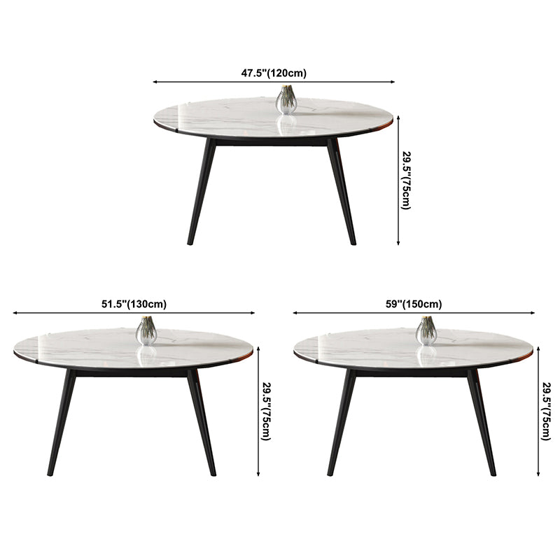 Modern Style Sintered Stone Dining Table White Round Table with Metal Base Clearhalo ' dining_table' 'Dining Tables & Seating' 'Dining Tables' 'furn' 'furn_dining_table' 'Furniture' 'furniture_dining_table' 'Kitchen & Dining Furniture' 'kitchen&dining_furn' 'kitchen' 'kitchen_dining_table' 3649160