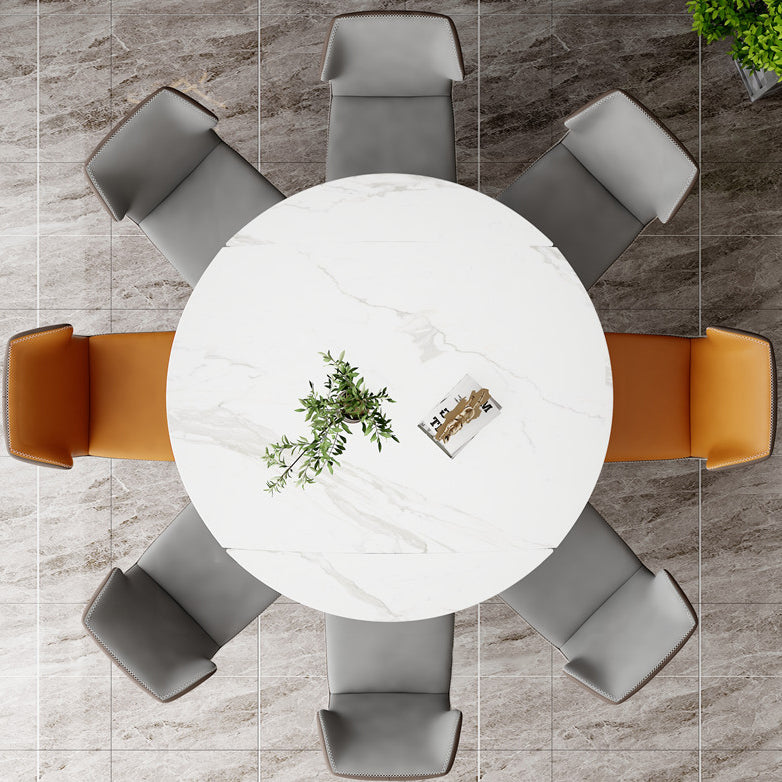 Modern Style Sintered Stone Dining Table White Round Table with Metal Base Clearhalo ' dining_table' 'Dining Tables & Seating' 'Dining Tables' 'furn' 'furn_dining_table' 'Furniture' 'furniture_dining_table' 'Kitchen & Dining Furniture' 'kitchen&dining_furn' 'kitchen' 'kitchen_dining_table' 3649161