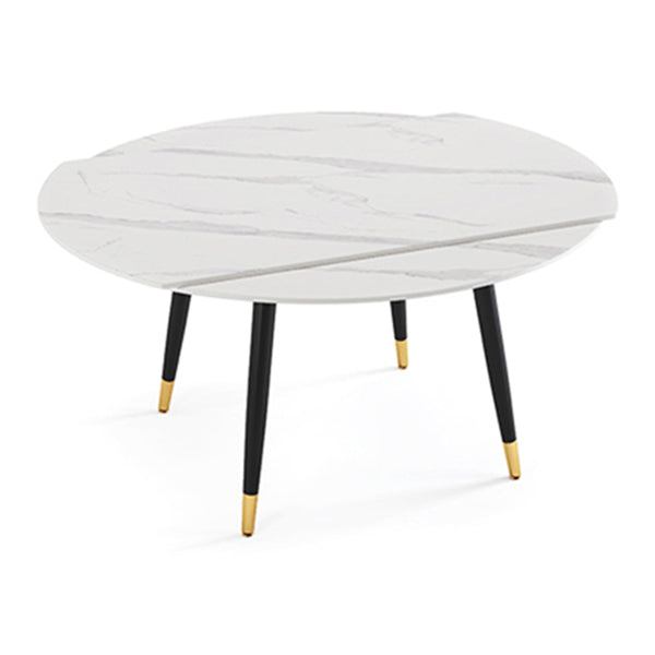Modern Style Sintered Stone Dining Table White Round Drop-Leaf Table for Home Use Without Chairs Clearhalo ' dining_table' 'Dining Tables & Seating' 'Dining Tables' 'furn' 'furn_dining_table' 'Furniture' 'furniture_dining_table' 'Kitchen & Dining Furniture' 'kitchen&dining_furn' 'kitchen' 'kitchen_dining_table' 3649392