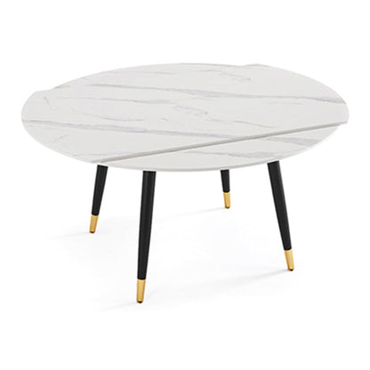 Modern Style Sintered Stone Dining Table White Round Drop-Leaf Table for Home Use Without Chairs Clearhalo ' dining_table' 'Dining Tables & Seating' 'Dining Tables' 'furn' 'furn_dining_table' 'Furniture' 'furniture_dining_table' 'Kitchen & Dining Furniture' 'kitchen&dining_furn' 'kitchen' 'kitchen_dining_table' 3649392