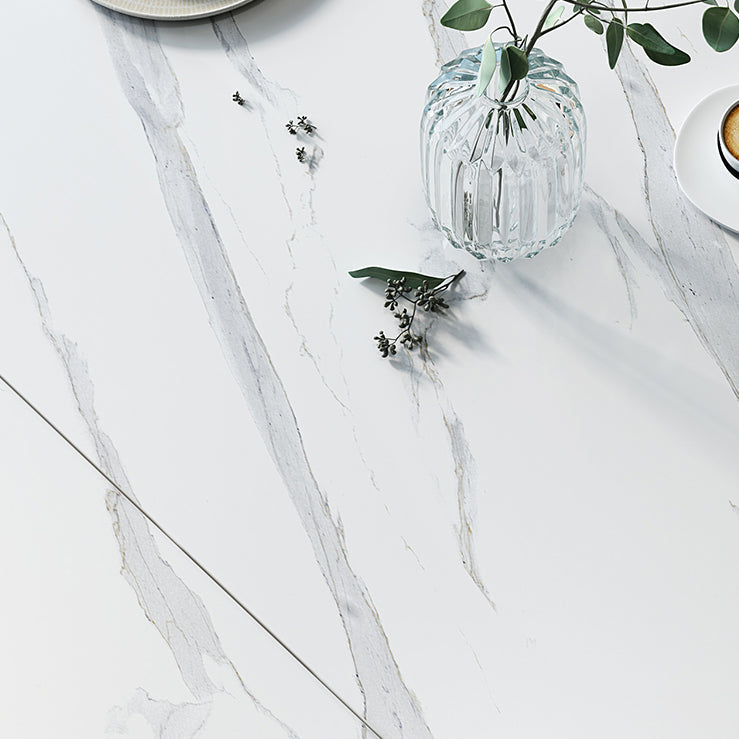 Modern Style Sintered Stone Dining Table White Round Drop-Leaf Table for Home Use Clearhalo ' dining_table' 'Dining Tables & Seating' 'Dining Tables' 'furn' 'furn_dining_table' 'Furniture' 'furniture_dining_table' 'Kitchen & Dining Furniture' 'kitchen&dining_furn' 'kitchen' 'kitchen_dining_table' 3649395