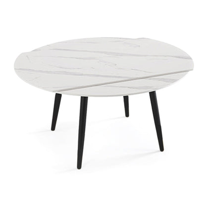 Modern Style Sintered Stone Dining Table White Round Table with Metal Base for Home Without Chairs Clearhalo ' dining_table' 'Dining Tables & Seating' 'Dining Tables' 'furn' 'furn_dining_table' 'Furniture' 'furniture_dining_table' 'Kitchen & Dining Furniture' 'kitchen&dining_furn' 'kitchen' 'kitchen_dining_table' 3649454