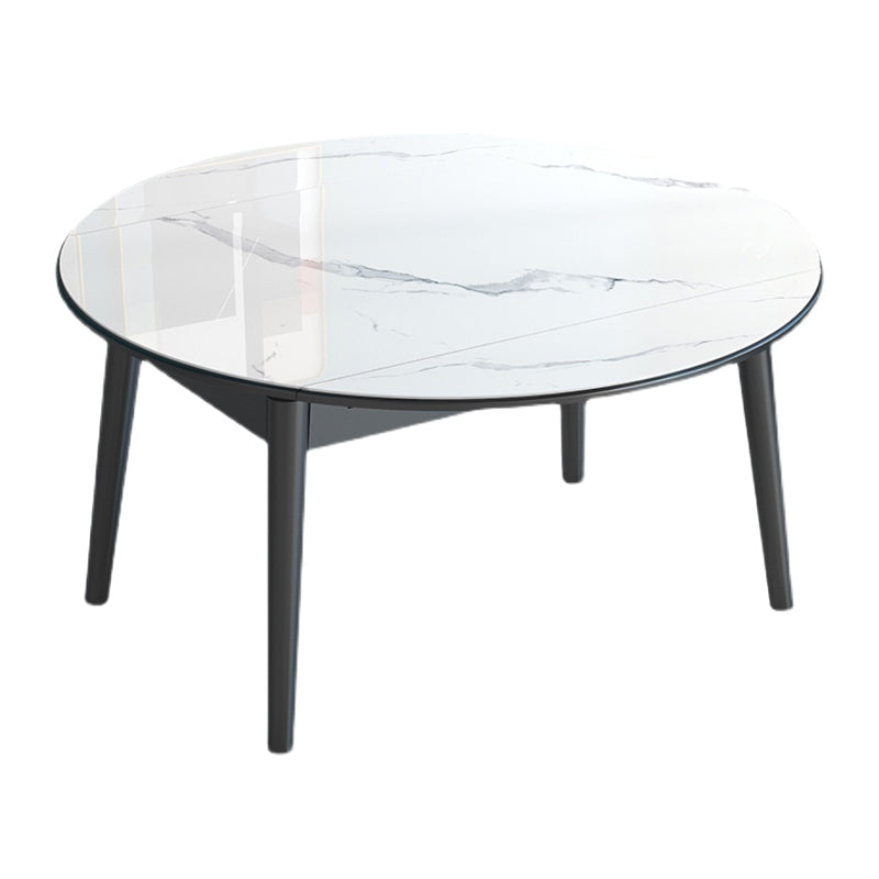Modern Style Sintered Stone Dining Table Round Drop-Leaf Table with Wooden Base White Without Chairs Clearhalo ' dining_table' 'Dining Tables & Seating' 'Dining Tables' 'furn' 'furn_dining_table' 'Furniture' 'furniture_dining_table' 'Kitchen & Dining Furniture' 'kitchen&dining_furn' 'kitchen' 'kitchen_dining_table' 3649546