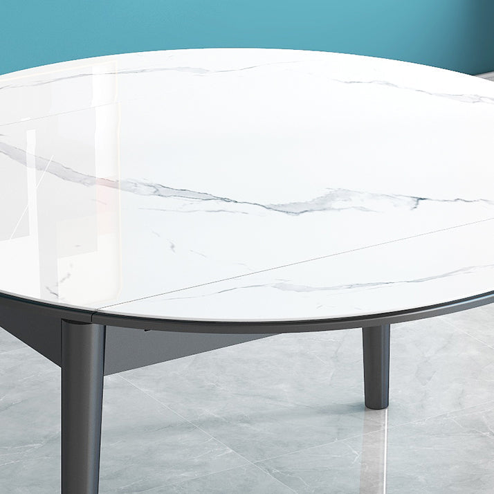 Modern Style Sintered Stone Dining Table Round Drop-Leaf Table with Wooden Base Clearhalo ' dining_table' 'Dining Tables & Seating' 'Dining Tables' 'furn' 'furn_dining_table' 'Furniture' 'furniture_dining_table' 'Kitchen & Dining Furniture' 'kitchen&dining_furn' 'kitchen' 'kitchen_dining_table' 3649547