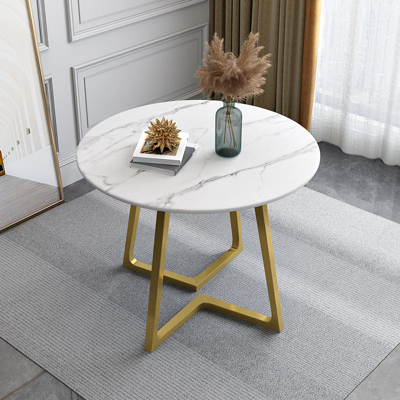 Contemporary Round Dining Table Sintered Stone Dining Table for Dining Room Clearhalo ' dining_table' 'Dining Tables & Seating' 'Dining Tables' 'furn' 'furn_dining_table' 'Furniture' 'furniture_dining_table' 'Kitchen & Dining Furniture' 'kitchen&dining_furn' 'kitchen' 'kitchen_dining_table' 3649593
