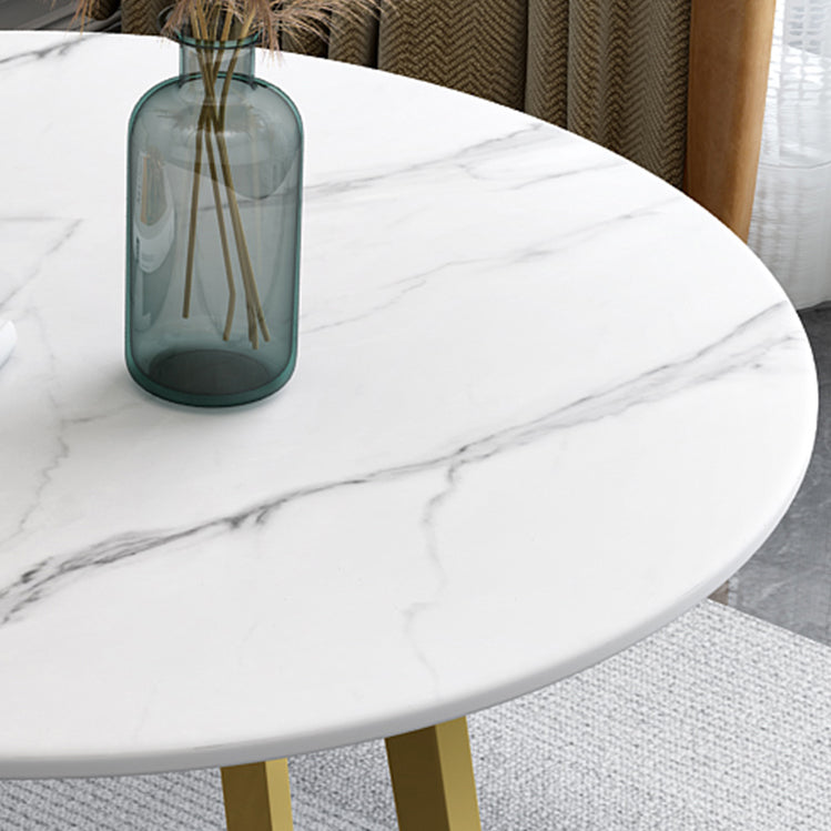 Contemporary Round Dining Table Sintered Stone Dining Table for Dining Room Clearhalo ' dining_table' 'Dining Tables & Seating' 'Dining Tables' 'furn' 'furn_dining_table' 'Furniture' 'furniture_dining_table' 'Kitchen & Dining Furniture' 'kitchen&dining_furn' 'kitchen' 'kitchen_dining_table' 3649599