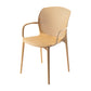 Glam Style Plastic Dining Arm Chair Matte Finish Dining Chair for Dinning Room Brown 1 Piece Clearhalo ' kitchen&dining_furn' 'Dining Chairs' 'Dining Tables & Seating' 'dining_chair' 'furn' 'furn_dining_chair' 'Furniture' 'furniture_dining_chair' 'Kitchen & Dining Furniture' 'kitchen' 3650433