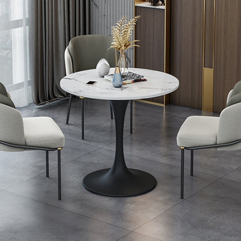 Round Tulip Base Modern Dining Table White Tone Fixed Table of Sintered Stone Clearhalo ' dining_table' 'Dining Tables & Seating' 'Dining Tables' 'furn' 'furn_dining_table' 'Furniture' 'furniture_dining_table' 'Kitchen & Dining Furniture' 'kitchen&dining_furn' 'kitchen' 'kitchen_dining_table' 3661839