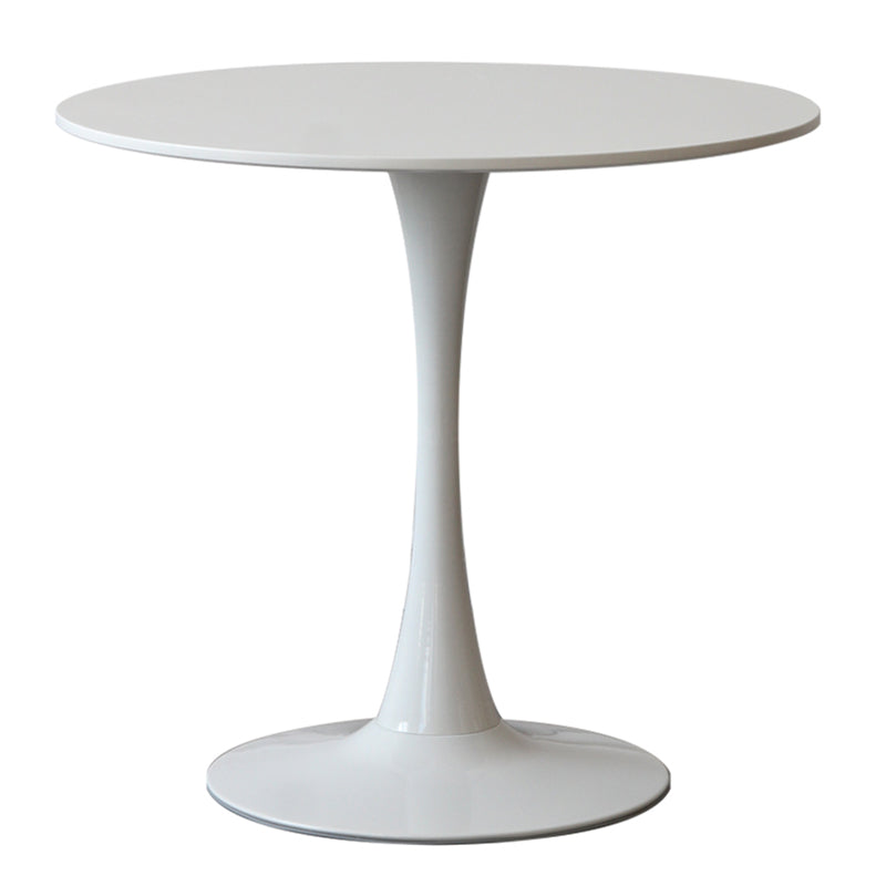 Contemporary Round Shape Sintered Stone Dining Table Standard Dining Table for Kitchen White Without Chairs Clearhalo ' dining_table' 'Dining Tables & Seating' 'Dining Tables' 'furn' 'furn_dining_table' 'Furniture' 'furniture_dining_table' 'Kitchen & Dining Furniture' 'kitchen&dining_furn' 'kitchen' 'kitchen_dining_table' 3661936