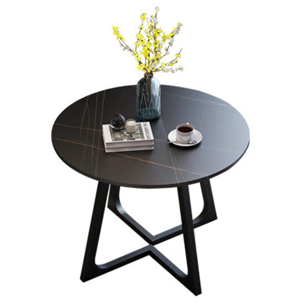 Modern Style Sintered Stone Dining Table Round Table with Double Pedestal Base Black Without Chairs Clearhalo ' dining_table' 'Dining Tables & Seating' 'Dining Tables' 'furn' 'furn_dining_table' 'Furniture' 'furniture_dining_table' 'Kitchen & Dining Furniture' 'kitchen&dining_furn' 'kitchen' 'kitchen_dining_table' 3661954