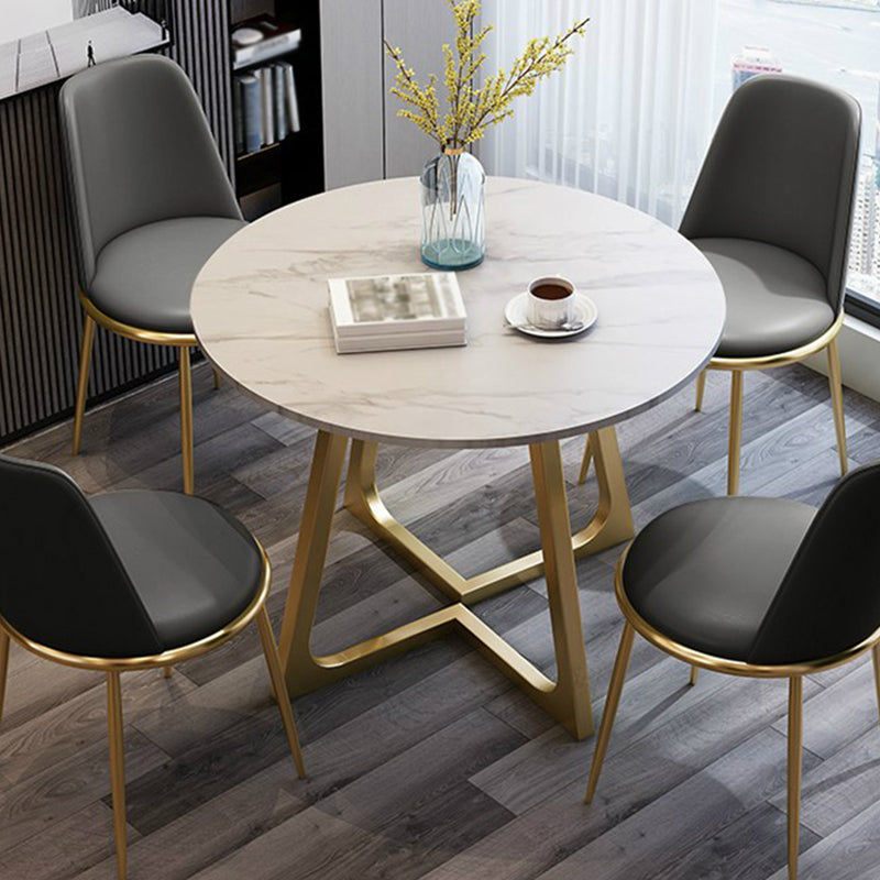 Modern Style Sintered Stone Dining Table Round Table with Double Pedestal Base Clearhalo ' dining_table' 'Dining Tables & Seating' 'Dining Tables' 'furn' 'furn_dining_table' 'Furniture' 'furniture_dining_table' 'Kitchen & Dining Furniture' 'kitchen&dining_furn' 'kitchen' 'kitchen_dining_table' 3661955