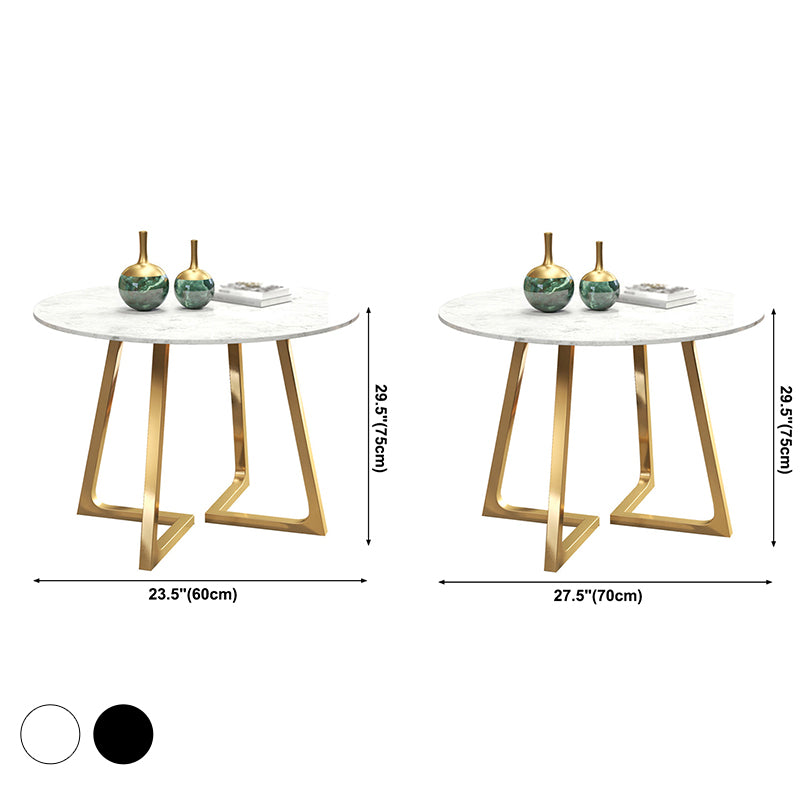 Modern Style Sintered Stone Dining Table Round Table with Double Pedestal Base Clearhalo ' dining_table' 'Dining Tables & Seating' 'Dining Tables' 'furn' 'furn_dining_table' 'Furniture' 'furniture_dining_table' 'Kitchen & Dining Furniture' 'kitchen&dining_furn' 'kitchen' 'kitchen_dining_table' 3661959