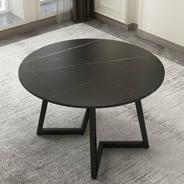 Modern Style Sintered Stone Dining Table Round Table with Double Pedestal Base Clearhalo ' dining_table' 'Dining Tables & Seating' 'Dining Tables' 'furn' 'furn_dining_table' 'Furniture' 'furniture_dining_table' 'Kitchen & Dining Furniture' 'kitchen&dining_furn' 'kitchen' 'kitchen_dining_table' 3661962