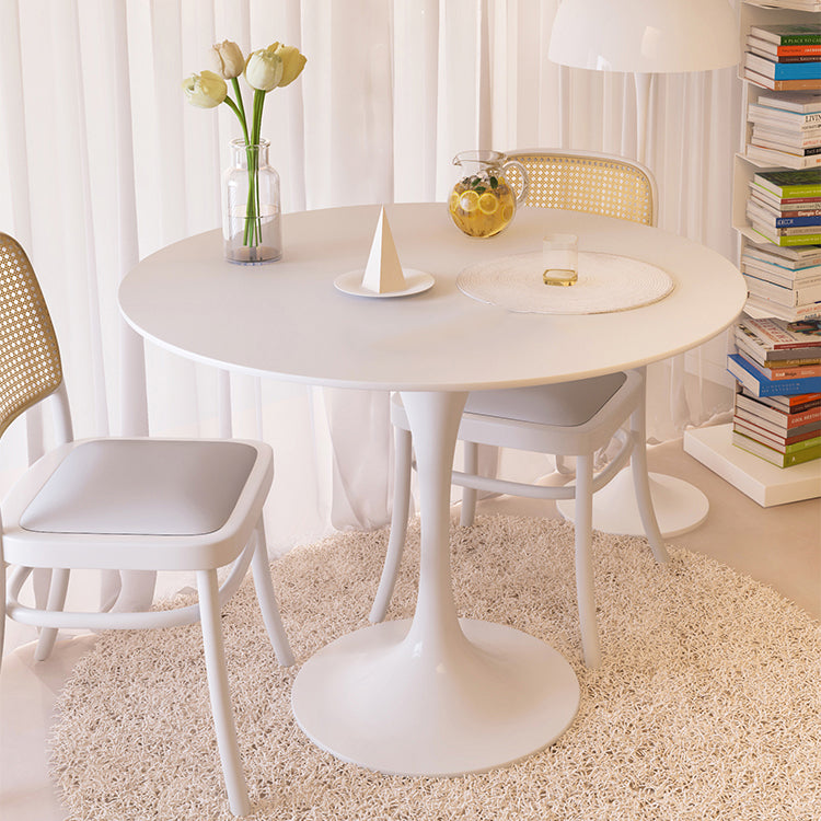 Contemporary White Standard Dining Table Round Shape Sintered Stone Dining Table for Kitchen Clearhalo ' dining_table' 'Dining Tables & Seating' 'Dining Tables' 'furn' 'furn_dining_table' 'Furniture' 'furniture_dining_table' 'Kitchen & Dining Furniture' 'kitchen&dining_furn' 'kitchen' 'kitchen_dining_table' 3661969