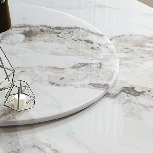 Rotatable Sintered Stone Dining Table Modern Round Table with Metal Pedestal Clearhalo ' dining_table' 'Dining Tables & Seating' 'Dining Tables' 'furn' 'furn_dining_table' 'Furniture' 'furniture_dining_table' 'Kitchen & Dining Furniture' 'kitchen&dining_furn' 'kitchen' 'kitchen_dining_table' 3662048