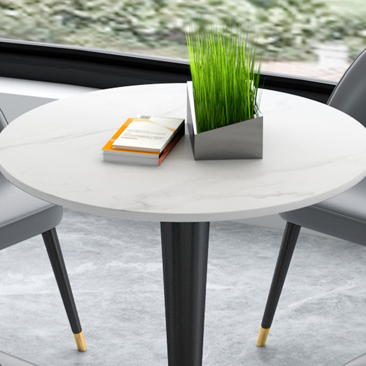 Minimalist Sintered Stone White Dining Table Round Shape Dining Table with Pedestal Base Clearhalo ' dining_table' 'Dining Tables & Seating' 'Dining Tables' 'furn' 'furn_dining_table' 'Furniture' 'furniture_dining_table' 'Kitchen & Dining Furniture' 'kitchen&dining_furn' 'kitchen' 'kitchen_dining_table' 3662105