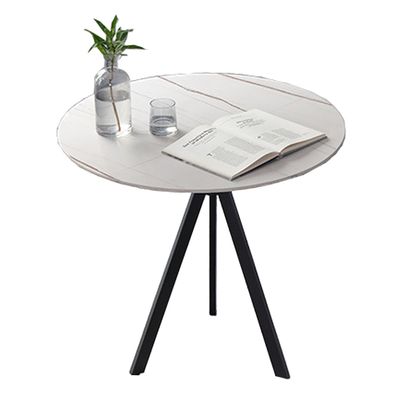Contemporary Round Shape Standard Dining Table Sintered Stone Dining Table for Kitchen White Without Chairs Clearhalo ' dining_table' 'Dining Tables & Seating' 'Dining Tables' 'furn' 'furn_dining_table' 'Furniture' 'furniture_dining_table' 'Kitchen & Dining Furniture' 'kitchen&dining_furn' 'kitchen' 'kitchen_dining_table' 3662112