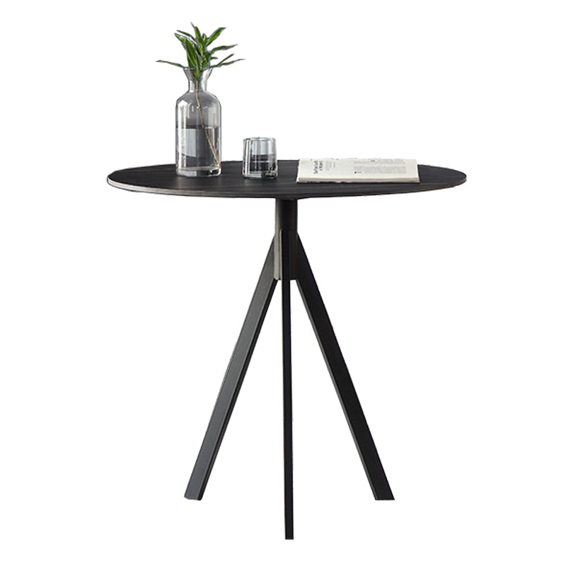 Modern Style Sintered Stone Dining Table Round Dinner Table with Pedestal Base Black Without Chairs Clearhalo ' dining_table' 'Dining Tables & Seating' 'Dining Tables' 'furn' 'furn_dining_table' 'Furniture' 'furniture_dining_table' 'Kitchen & Dining Furniture' 'kitchen&dining_furn' 'kitchen' 'kitchen_dining_table' 3662165