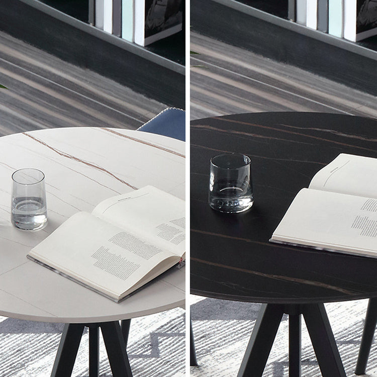 Modern Style Sintered Stone Dining Table Round Dinner Table with Pedestal Base Clearhalo ' dining_table' 'Dining Tables & Seating' 'Dining Tables' 'furn' 'furn_dining_table' 'Furniture' 'furniture_dining_table' 'Kitchen & Dining Furniture' 'kitchen&dining_furn' 'kitchen' 'kitchen_dining_table' 3662166