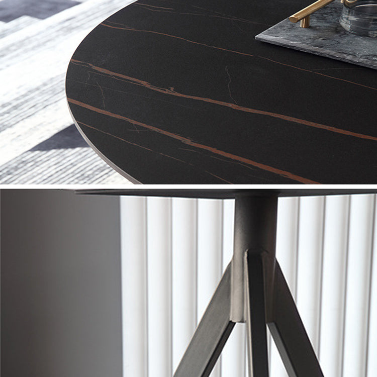 Modern Style Sintered Stone Dining Table Round Dinner Table with Pedestal Base Clearhalo ' dining_table' 'Dining Tables & Seating' 'Dining Tables' 'furn' 'furn_dining_table' 'Furniture' 'furniture_dining_table' 'Kitchen & Dining Furniture' 'kitchen&dining_furn' 'kitchen' 'kitchen_dining_table' 3662168