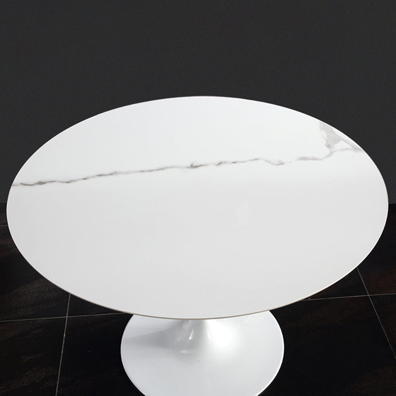 Modern Round Dining Room Table Sintered Stone Dining Table with Tulip Base Clearhalo ' dining_table' 'Dining Tables & Seating' 'Dining Tables' 'furn' 'furn_dining_table' 'Furniture' 'furniture_dining_table' 'Kitchen & Dining Furniture' 'kitchen&dining_furn' 'kitchen' 'kitchen_dining_table' 3662210