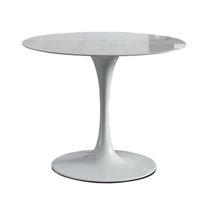 Modern Round Dining Room Table Sintered Stone Dining Table with Tulip Base Without Chairs Clearhalo ' dining_table' 'Dining Tables & Seating' 'Dining Tables' 'furn' 'furn_dining_table' 'Furniture' 'furniture_dining_table' 'Kitchen & Dining Furniture' 'kitchen&dining_furn' 'kitchen' 'kitchen_dining_table' 3662211