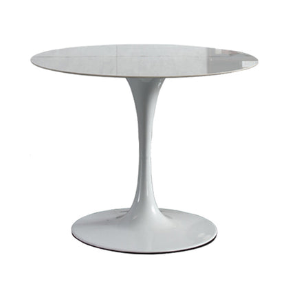 Modern Round Dining Room Table Sintered Stone Dining Table with Tulip Base Without Chairs Clearhalo ' dining_table' 'Dining Tables & Seating' 'Dining Tables' 'furn' 'furn_dining_table' 'Furniture' 'furniture_dining_table' 'Kitchen & Dining Furniture' 'kitchen&dining_furn' 'kitchen' 'kitchen_dining_table' 3662211