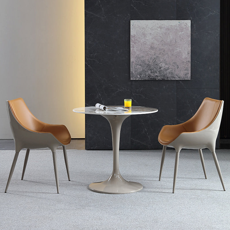 Round Contemporary Dining Table Brown Tone Fixed Table of Sintered Stone Clearhalo ' dining_table' 'Dining Tables & Seating' 'Dining Tables' 'furn' 'furn_dining_table' 'Furniture' 'furniture_dining_table' 'Kitchen & Dining Furniture' 'kitchen&dining_furn' 'kitchen' 'kitchen_dining_table' 3662307