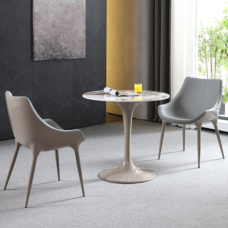 Round Contemporary Dining Table Brown Tone Fixed Table of Sintered Stone Clearhalo ' dining_table' 'Dining Tables & Seating' 'Dining Tables' 'furn' 'furn_dining_table' 'Furniture' 'furniture_dining_table' 'Kitchen & Dining Furniture' 'kitchen&dining_furn' 'kitchen' 'kitchen_dining_table' 3662308