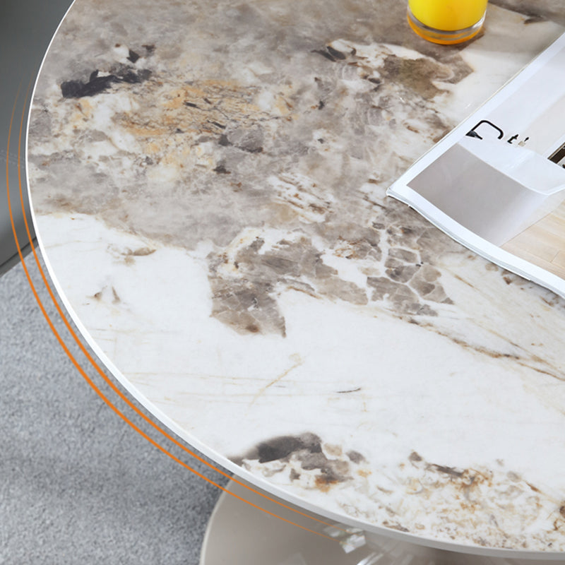 Round Contemporary Dining Table Brown Tone Fixed Table of Sintered Stone Clearhalo ' dining_table' 'Dining Tables & Seating' 'Dining Tables' 'furn' 'furn_dining_table' 'Furniture' 'furniture_dining_table' 'Kitchen & Dining Furniture' 'kitchen&dining_furn' 'kitchen' 'kitchen_dining_table' 3662312
