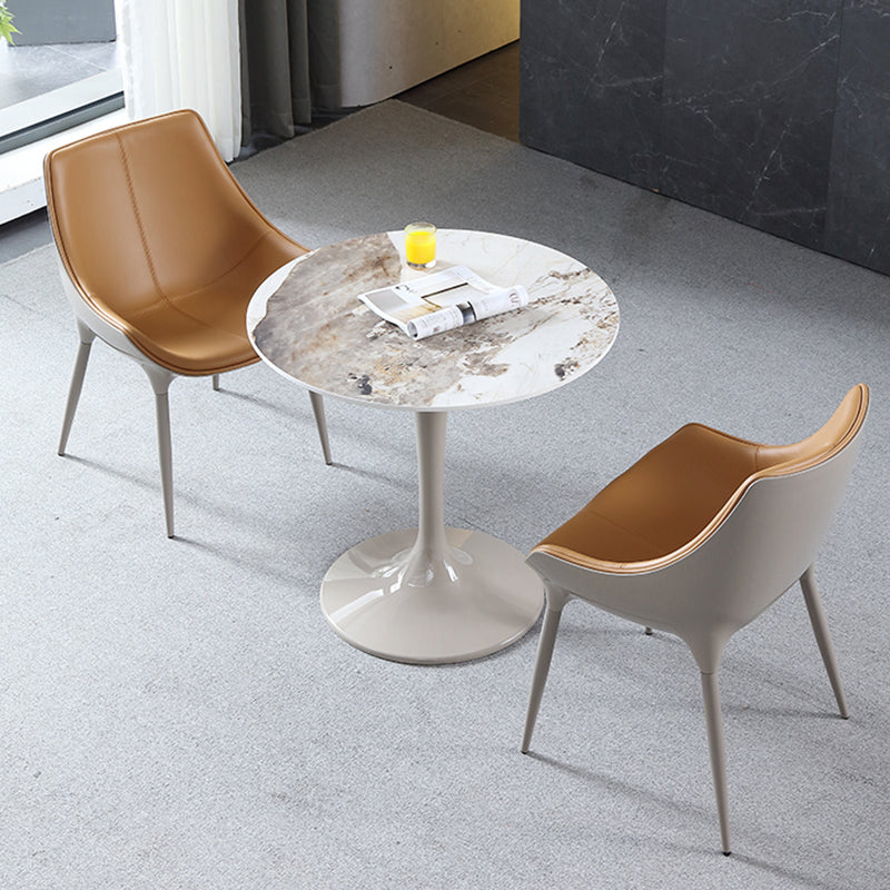 Round Contemporary Dining Table Brown Tone Fixed Table of Sintered Stone Clearhalo ' dining_table' 'Dining Tables & Seating' 'Dining Tables' 'furn' 'furn_dining_table' 'Furniture' 'furniture_dining_table' 'Kitchen & Dining Furniture' 'kitchen&dining_furn' 'kitchen' 'kitchen_dining_table' 3662319