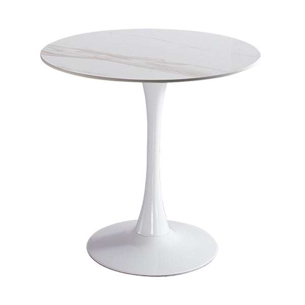 Modern Round Dining Table Sintered Stone Dining Table with Tulip Base for Home Kitchen Dinner White White 31.5"L x 31.5"W x 29.5"H Clearhalo ' dining_table' 'Dining Tables & Seating' 'Dining Tables' 'furn' 'furn_dining_table' 'Furniture' 'furniture_dining_table' 'Kitchen & Dining Furniture' 'kitchen&dining_furn' 'kitchen' 'kitchen_dining_table' 3662394