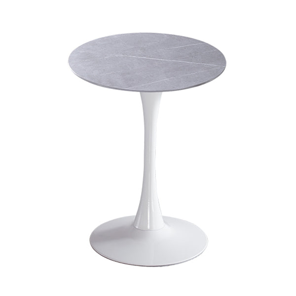 Modern Round Dining Table Sintered Stone Dining Table with Tulip Base for Home Kitchen Dinner Gray White 23.6"L x 23.6"W x 29.5"H Clearhalo ' dining_table' 'Dining Tables & Seating' 'Dining Tables' 'furn' 'furn_dining_table' 'Furniture' 'furniture_dining_table' 'Kitchen & Dining Furniture' 'kitchen&dining_furn' 'kitchen' 'kitchen_dining_table' 3662397