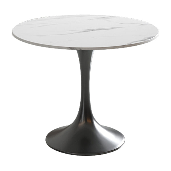 Modern White Round Shape Dining Table Sintered Stone Standard Dining Table with Tulip Base Black Without Chairs Clearhalo ' dining_table' 'Dining Tables & Seating' 'Dining Tables' 'furn' 'furn_dining_table' 'Furniture' 'furniture_dining_table' 'Kitchen & Dining Furniture' 'kitchen&dining_furn' 'kitchen' 'kitchen_dining_table' 3662477