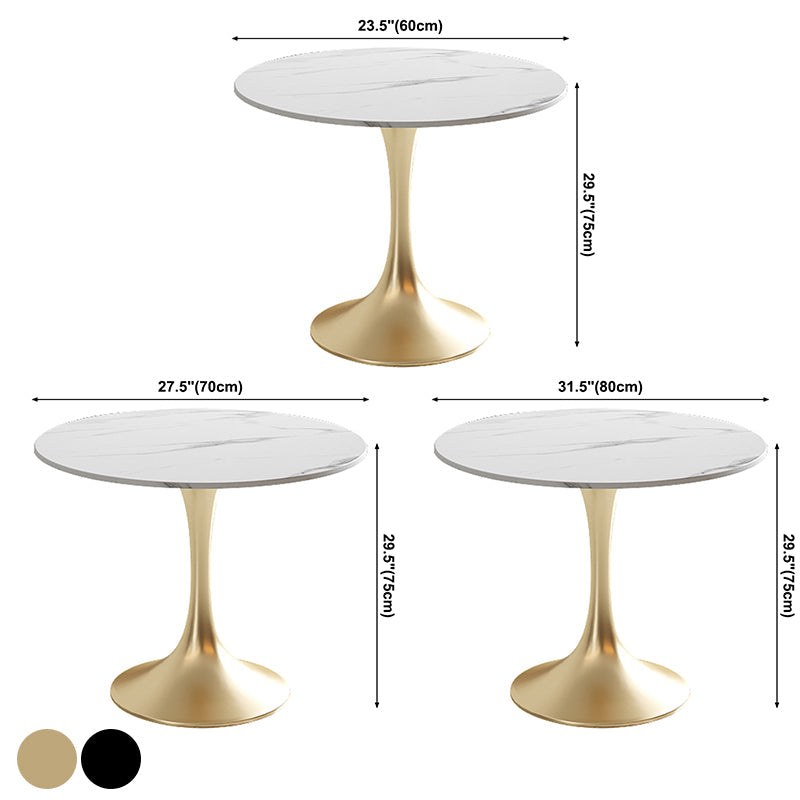 Modern White Round Shape Dining Table Sintered Stone Standard Dining Table with Tulip Base Clearhalo ' dining_table' 'Dining Tables & Seating' 'Dining Tables' 'furn' 'furn_dining_table' 'Furniture' 'furniture_dining_table' 'Kitchen & Dining Furniture' 'kitchen&dining_furn' 'kitchen' 'kitchen_dining_table' 3662485